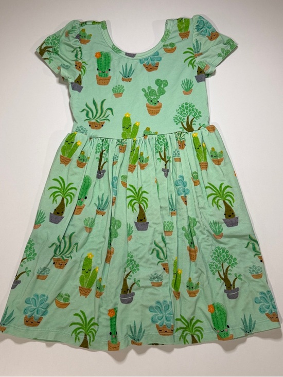 Little Sleepies Other - Little Sleepies PLAY 4T Cactus Succulent Bamboo Twirl Dress Soluxe